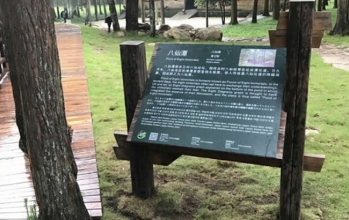 海洋之神_官方网站