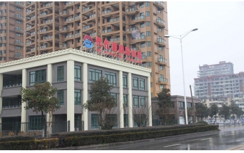 海洋之神_官方网站